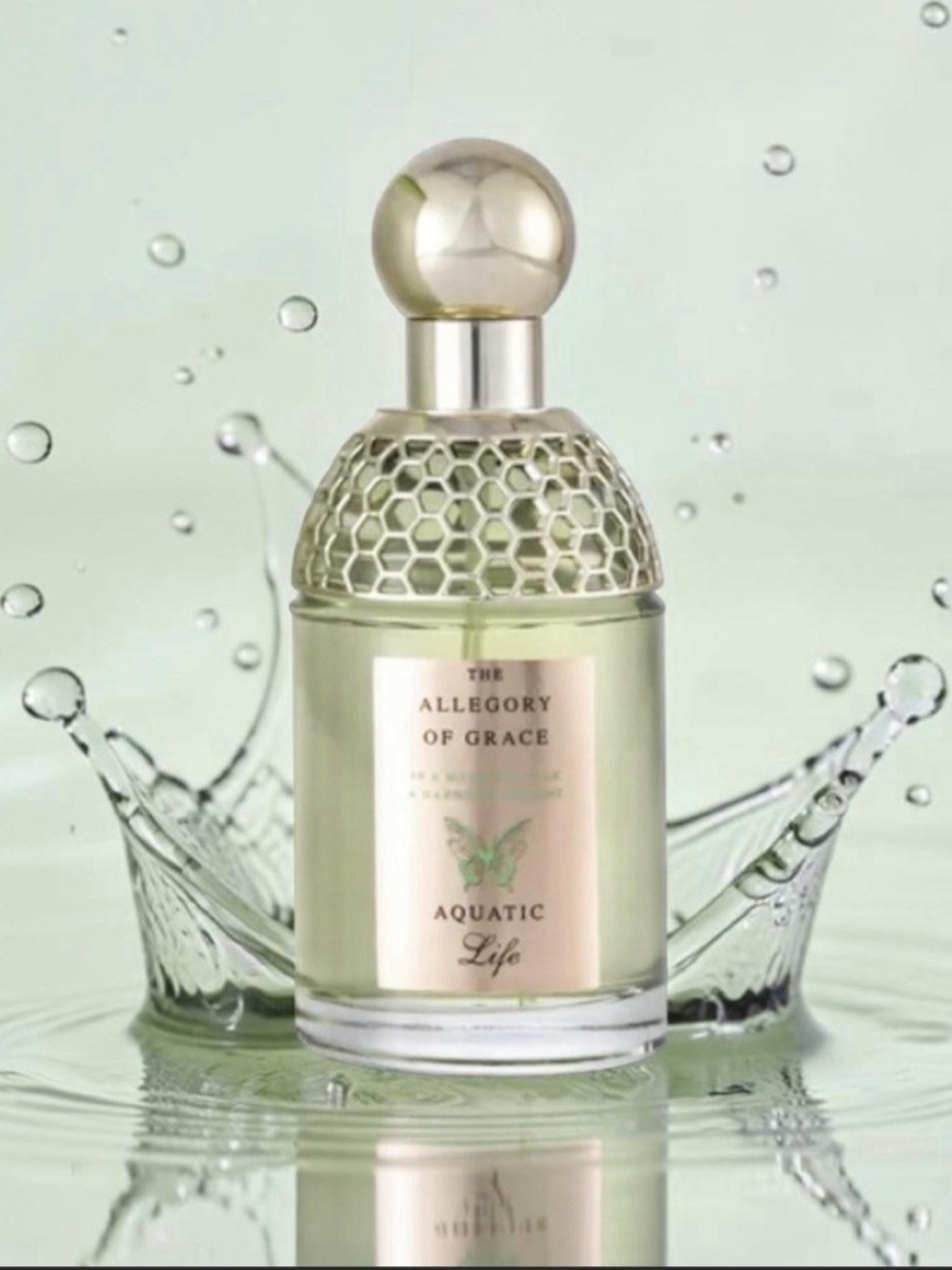 Fragrance Notes - Picture 2 of 3